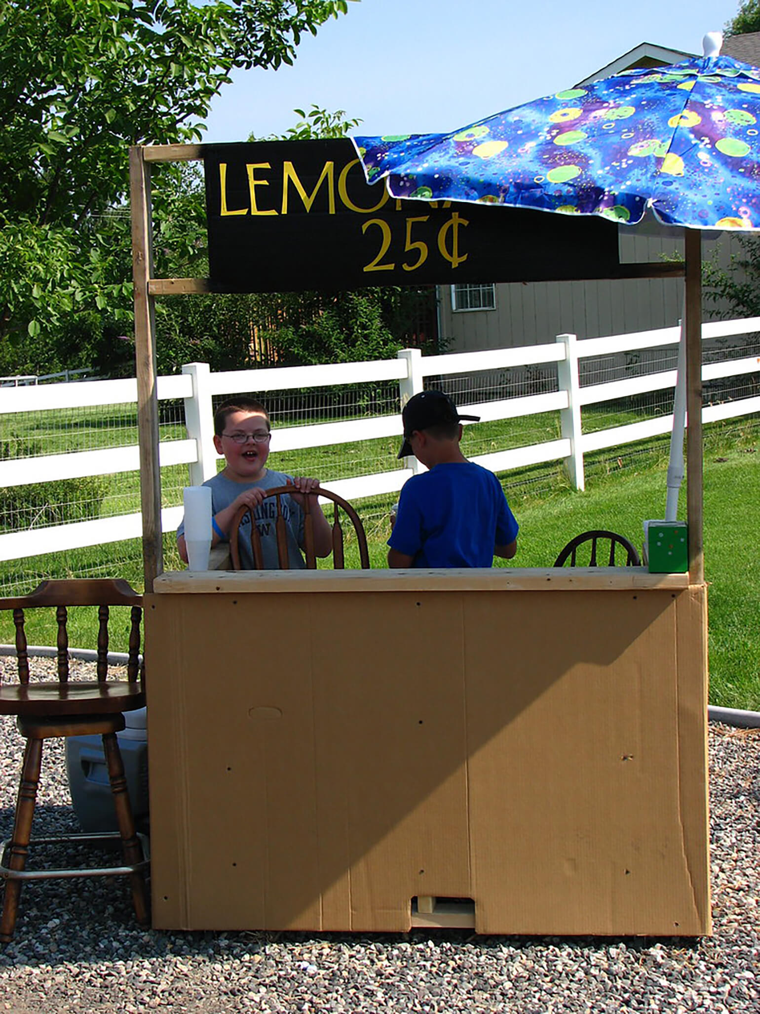 Two boys stand behind a lemonade stand. The sign above the stand says Lemonade $ .25.
