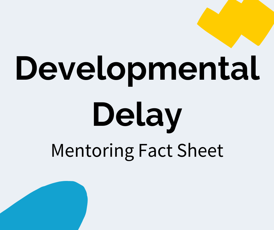 Black text reads “Developmental Delay” with a subheading that reads "Mentoring Fact Sheet". There is a blue decal in the bottom left corner and a yellow decal in the upper right corner.